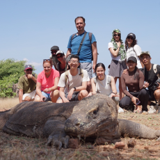 Komodo Sharing 3 Days Trip