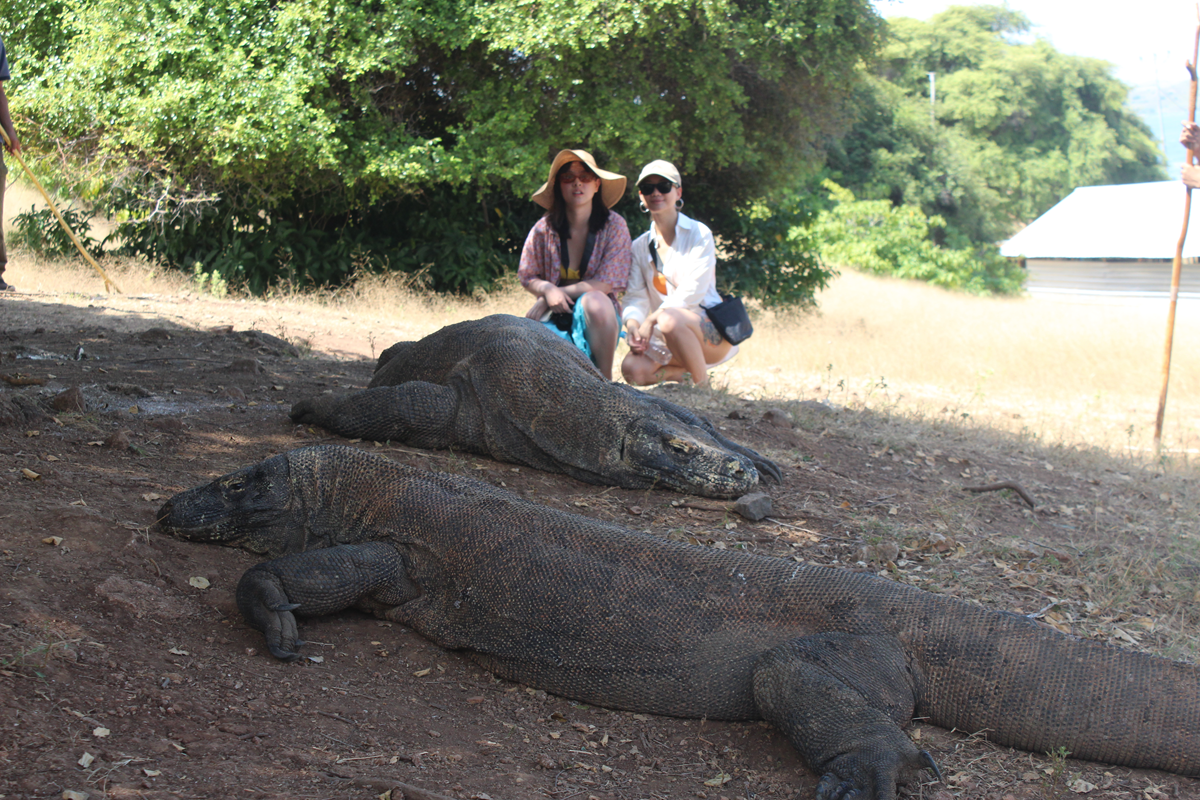 komodo trip 3 days