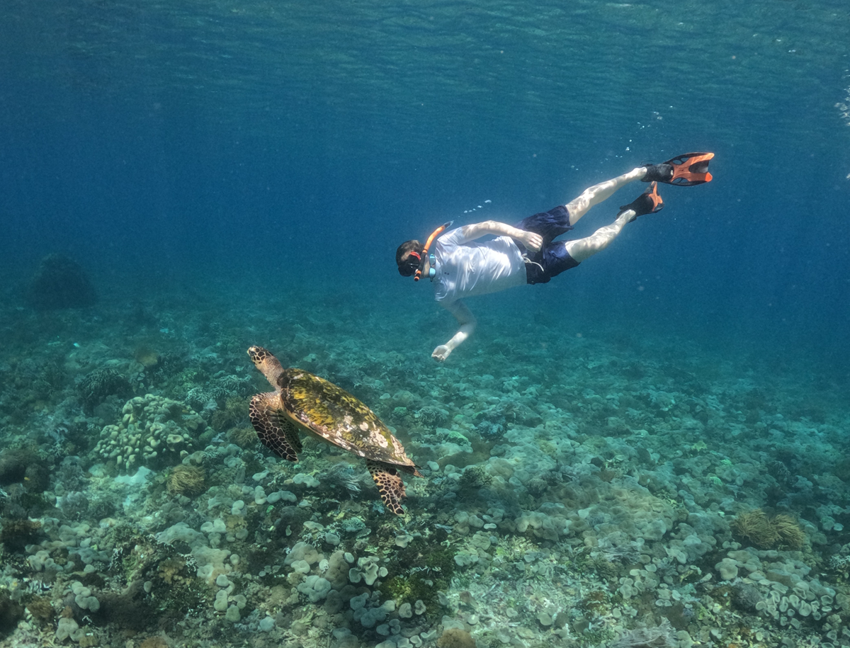 komodo trip 3 days