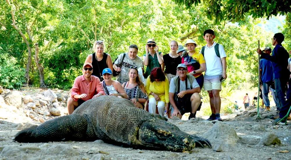 visitor regulation to komodo