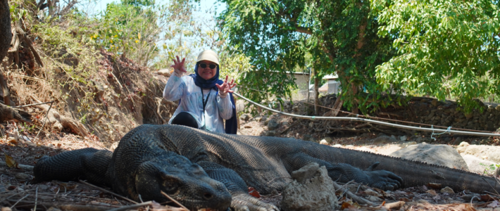Explore Komodo Island 4 Days 3 Nights