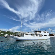 Explore Komodo Island 4 Days 3 Nights