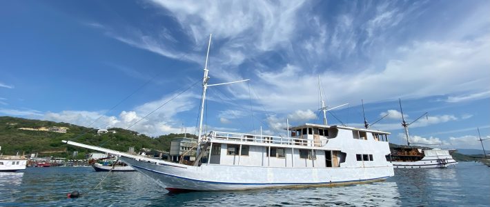 Explore Komodo Island 4 Days 3 Nights Explore Komodo Island 4 Days 3 Nights