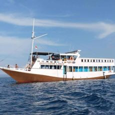 Sharing Komodo 4 days Labuan Bajo