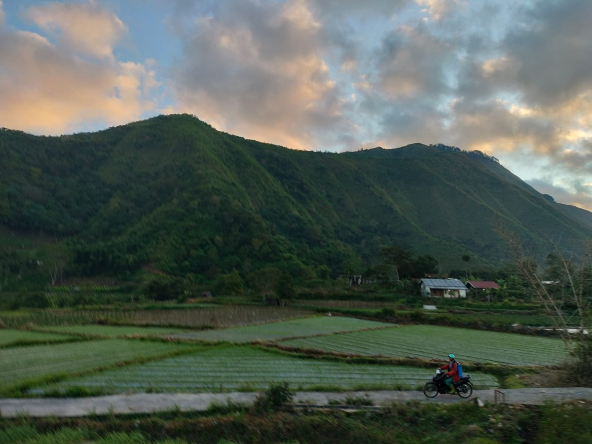 lombok camping pergasingan hill