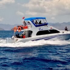 Open Trip Speedboat Komodo Explore Open Trip Speedboat Komodo Explore