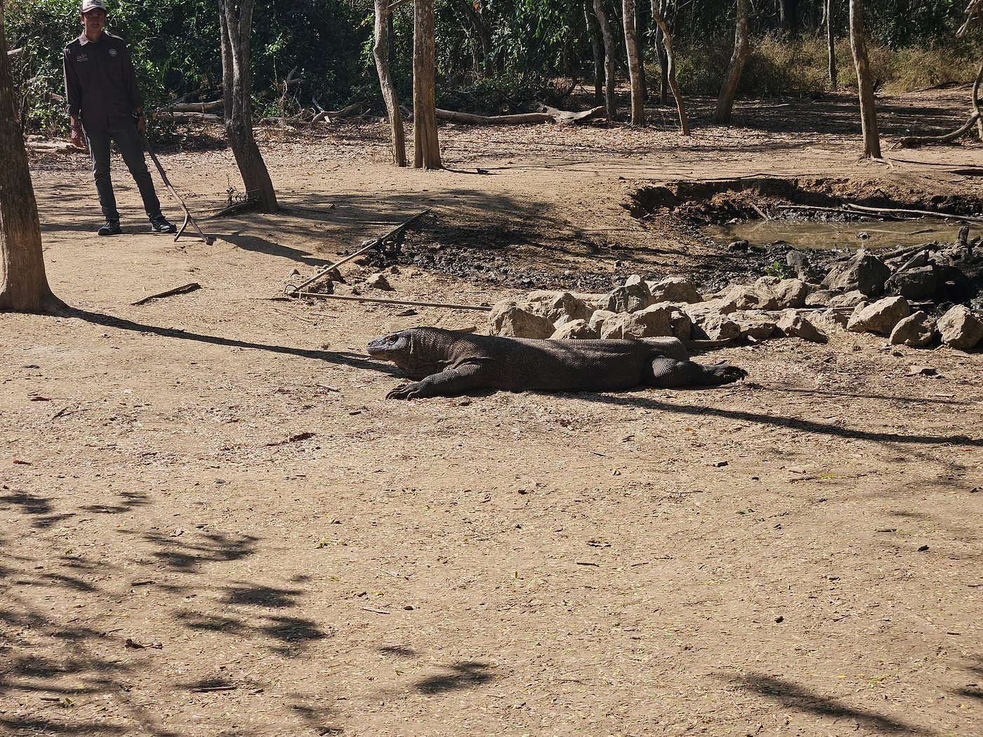 lombok to komodo flores