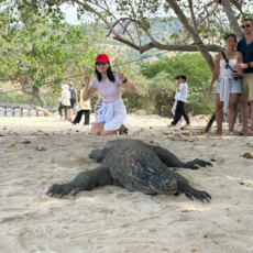 Open Trip Komodo Island Phinisi Boat 2-Day