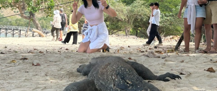 Open Trip Komodo Island Phinisi Boat 2-Day