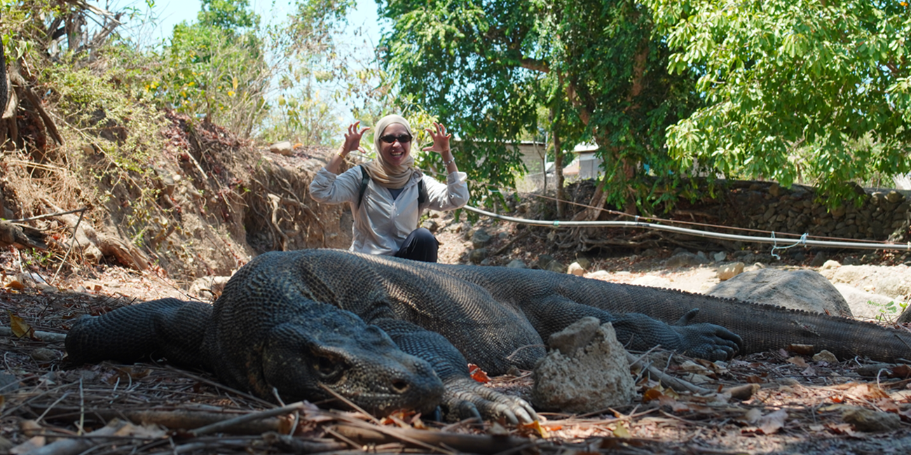 KOMODO DRAGON