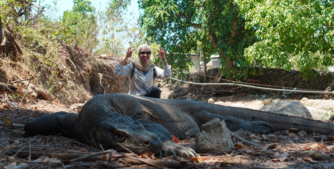 goal komodo island trip